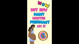 How many months pregnant am I [upl. by Jodie]