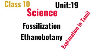 class10Unit19process of fossilization Ethanobotany [upl. by Wyatt]