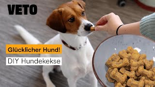 Dein Hund wird es lieben – Hundekekse selber machen [upl. by Larrej994]