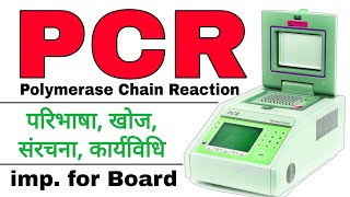 pcr explained  pcr in hindi  polymerase chain reaction in hindi  pcr techniques in biotechnology [upl. by September]