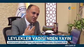 Leylekler Vadisinden 24 saat canlı yayın [upl. by Sewel527]