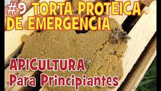 🐝 🐝 Torta proteica de emergencia para abejas Alimento para abejas [upl. by Publea]