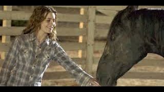 Flicka Full Movie Fact Review amp Information  Alison Lohman  Tim McGraw [upl. by Phyllys]