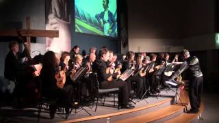 Auckland Mandolinata Orchestra 3rd May 2014 [upl. by Indira]