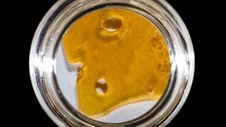 2016 US Cannabis Cup amp Carnival Hybrid Concentrate Entries [upl. by Kaja917]