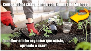 Como adubar suas plantas com Húmus de Minhoca [upl. by Argyle]