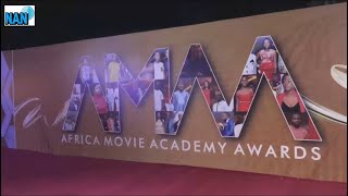 20th Africa Movie Academy Awards Red carpet moments [upl. by Lansing]