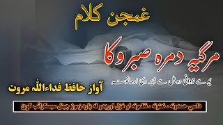 Margia Dumra Sabar Waka  مرگیہ دمرہ صبر وکا  Hafiz FidaUllah Marwat  Pashto Nazam 2024 [upl. by Elatsyrk]