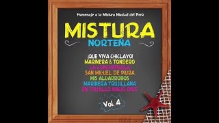 11 Contrapunto de Tondero  Punto amp Coma  Mistura Norteña Vol 4 [upl. by Emmie]