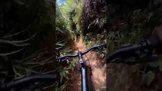 trilha de bike na Serra de São José [upl. by Otilopih]