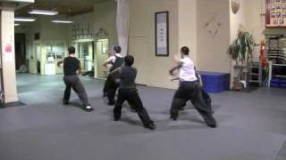 Choy Li Fut  Siu Jin Kuen  variation [upl. by Ivah]