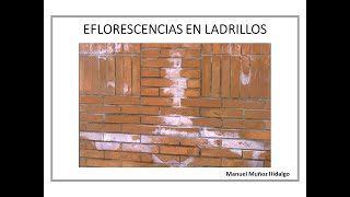 Eflorescencias en ladrillos [upl. by Ayk332]