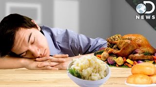 What Really Causes A Food Coma [upl. by Eanram]