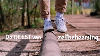 De Geest van Zelfbeheersing deel 8 slot [upl. by Maidie977]