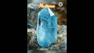 Belajar dari Mutiara [upl. by Nosnehpets]