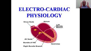 Electrophysiology Of Heart [upl. by Laure]