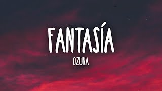 Ozuna  Fantasía LetraLyrics [upl. by Elnore]