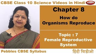 Class 10  CBSE NCERT  Science  Ch 8  Organisms Reproduce  T7  Female Reproductive System [upl. by Amikehs]