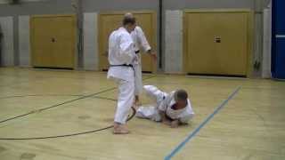 Bunkai Unsu Mawashi am Boden Sensei WolfDieter Wichmann 8 Dan Stefan Olli [upl. by Lambart]