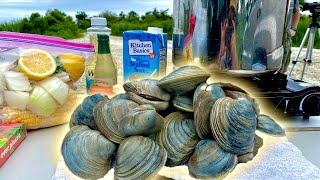 Foraging For Wild Clams  Delicious BIG Pot Clam Boil And SHUCKING Them RAW [upl. by Ot]