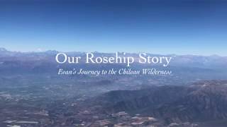 Our Rosehip Story  Evan’s Journey to the Chilean Wilderness [upl. by Nanette]