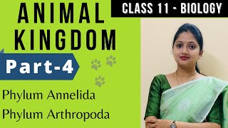 Animal Kingdom class 11 Biology  Phylum Anneleda Phylum Arthopada  Part4 [upl. by Briscoe]