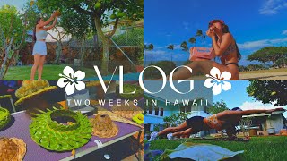 HAWAII VLOG 2024 🌺 Two Weeks in Hawaii 🏝️ part one [upl. by Starks810]