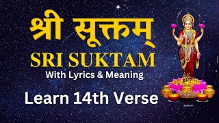 Learn Sri Suktam Step by Step  Sri Suktam 14th Verse  Learn Vedas [upl. by Ahsahtan257]