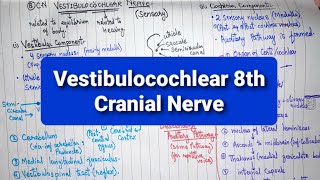 Vestibulocochlear Nerve  8th Cranial Nerve  Part 1  Neuroanatomy [upl. by Adnwahsal851]