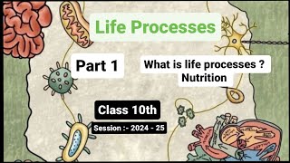 Class 10  Biology  Chapter 1  Life Process  What are life process  Nutrition  Part 1 [upl. by Zola]