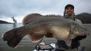 Fishing for Lake Eildon Murray Cod [upl. by Lordan838]