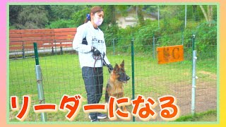 訓練士 松尾晴美 『リーダー的存在とは？』吠える犬のお悩み ～西九州警察犬訓練所～ [upl. by Blockus525]