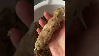 Cook With Me Juicy Chicken Kofta Kebabs Made in The Oven 30 minute recipe [upl. by Katalin277]