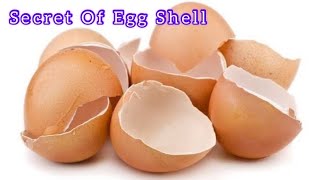 Secret Of EggshellsNever Throwaway Your Egg shells Is best to bath with them for… [upl. by Auginahs989]