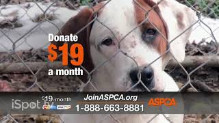 aspca commercial 2021 the first snow away [upl. by Almena]