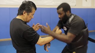 This Wing Chun Master Has CRAZY Power  Sifu Francis Fong [upl. by Cadmar]