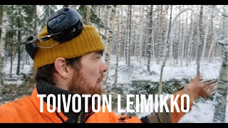 Toivoton leimikko [upl. by Jackelyn]