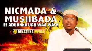 NICMADEE amp MUSIIBADEE AYAA ADUUNKA UGU WAA WAYN  ᴴᴰ┇ ShMustafe Xaaji Ismaaciil [upl. by Tani752]