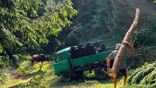 Early Mornings and Rustic Living A Carpathian Family Day [upl. by Perla63]