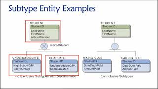 Topic 04 Part 11  Supertype and Subtype Entities [upl. by Shama120]