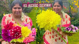 கனவு தோட்டத்து பூWINTER GARDENING englandthamizhachi [upl. by Lipfert]