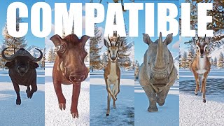 Compatible Species Category Speed Races in Planet Zoo included Buffalo Warthog Springbok etc [upl. by Eahsel]