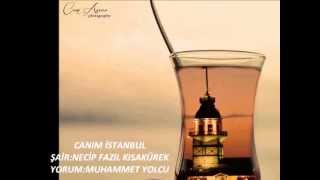 Canım İstanbul ŞiiriNecip Fazıl Kısakürek [upl. by Eidoow781]