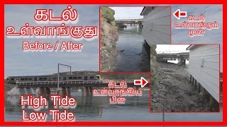 கடல் உள்வாங்கும் முன்பின் High Tide vs Low Tide  Sea Level Rise sealevelrise hightide lowtide [upl. by Imik574]