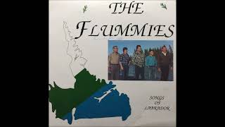 The Flummies  45 Miles From Goose Bay 1988 [upl. by Jonina]