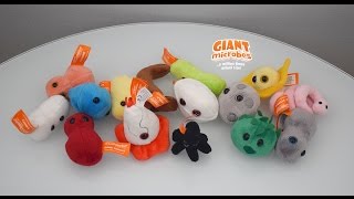 Review Giant Microbes Plush Boxed Sets [upl. by Aernda]