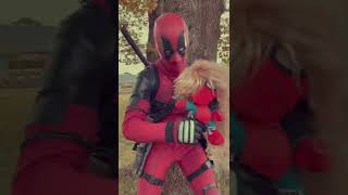 Spidey Vs Deadpool amp SpiderGwen shorts [upl. by Areikahs244]