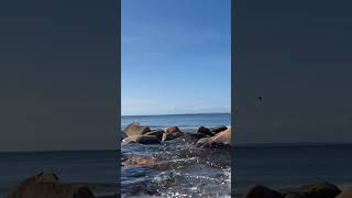 timelapse of the brook at the brickyard in chilmark on marthasvineyard [upl. by Gneh]