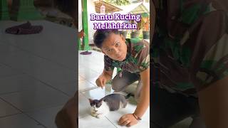 Bantuin kucing melahirkan sulap magic sihir shortvideo [upl. by Asilav]