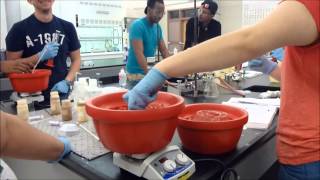 Azo Dye Synthesis  final project [upl. by Elijah]